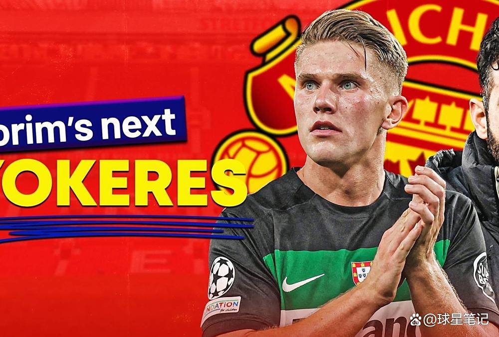 是整个团队 是整个团队